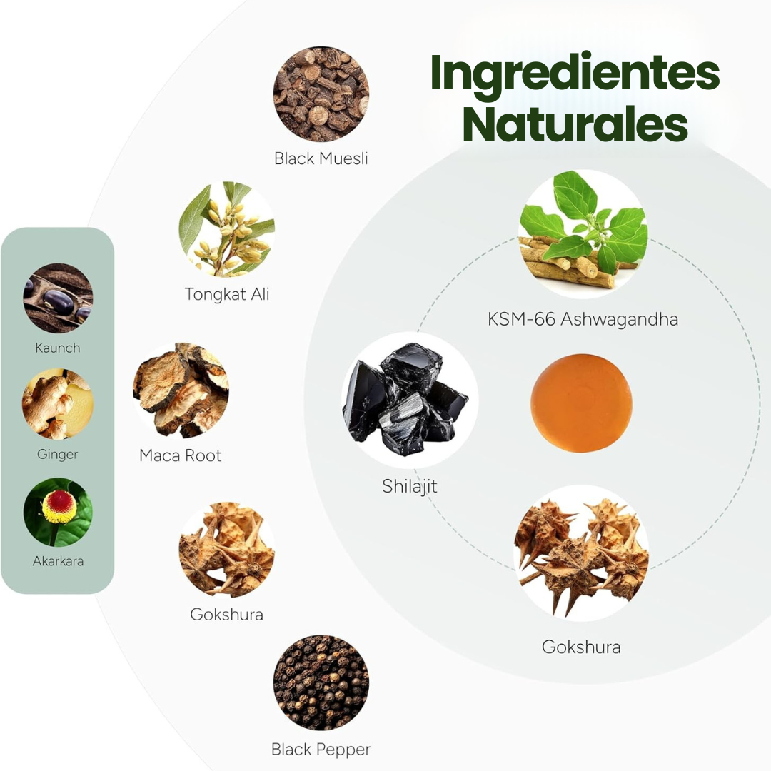 Root Labs Gomitas Shilajit