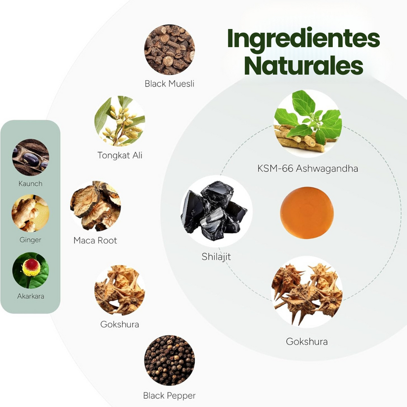 Root Labs Shilajit - La Fórmula Adaptogénica Premium Del Himalaya Para Energía y Vitalidad