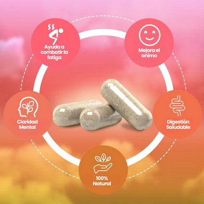 Yerba Magic en Capsula