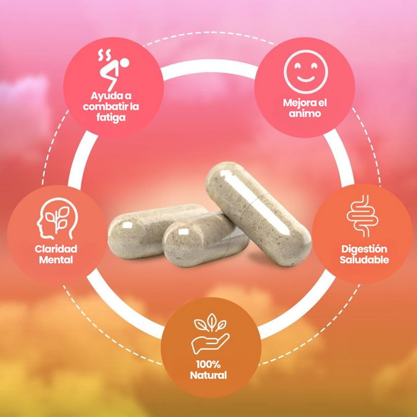 Yerba Magic Cápsulas - La Energía Natural Definitiva Con Yerba Mate Sin Ahumar